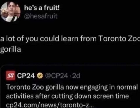 he’s a fruit! у @hesafruit a lot of you could learn from Toronto Zoc gorilla Toronto Zoo gorilla now engaging in normal activities after cutting down screen time