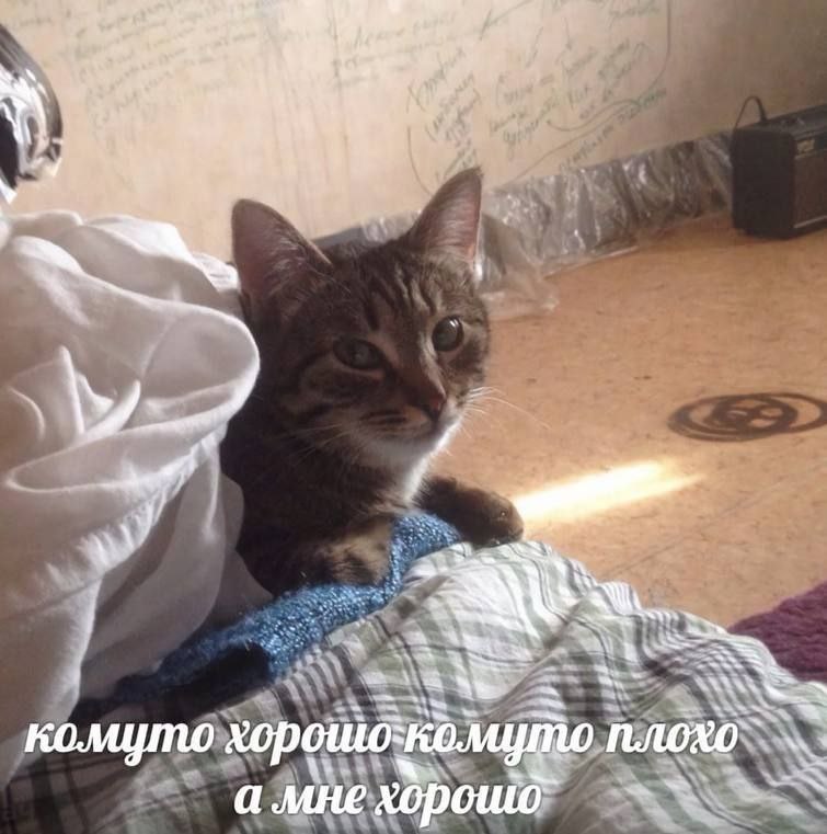 a wll 4 at A~ all +4 me комуто плохо A MHE хорошо