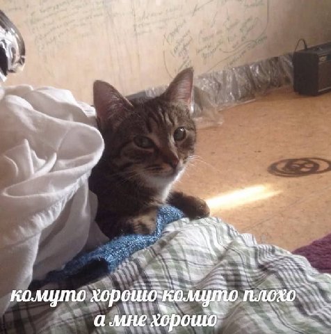 a wll 4 at A~ all +4 me комуто плохо A MHE хорошо