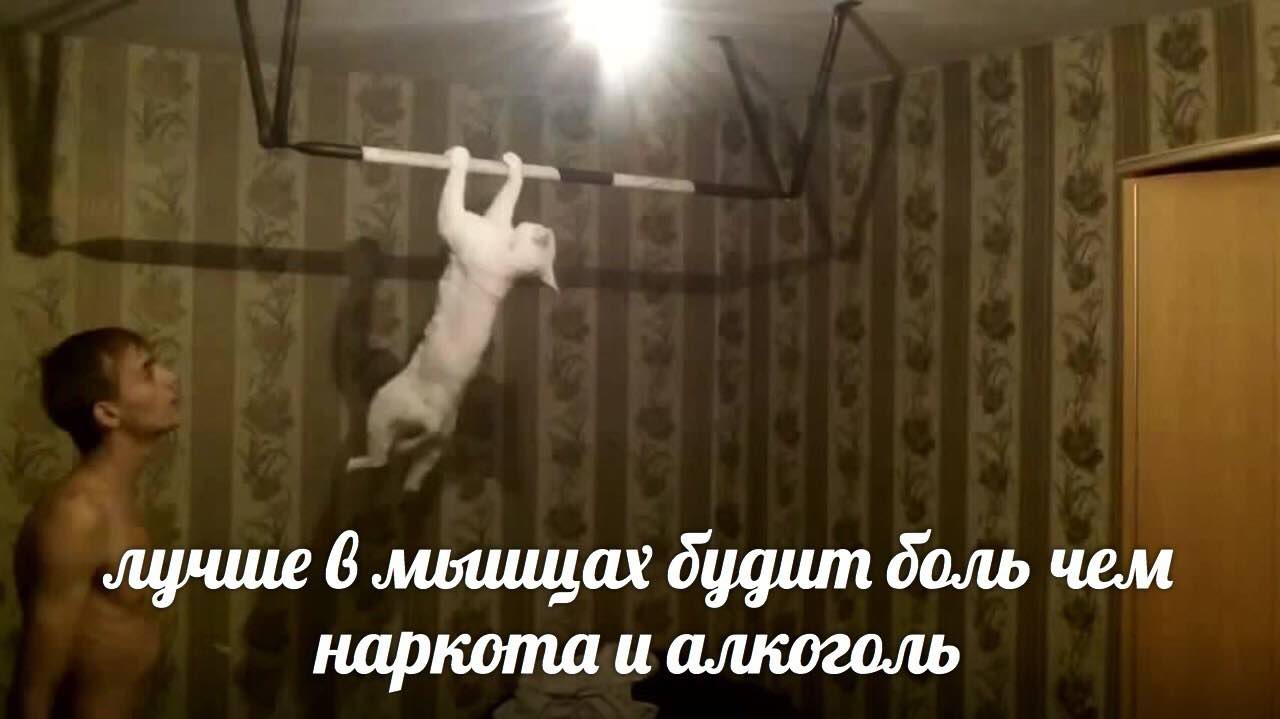 лучше 6 лилищах чем наркота и алкоголь