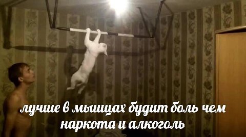 лучше 6 лилищах чем наркота и алкоголь