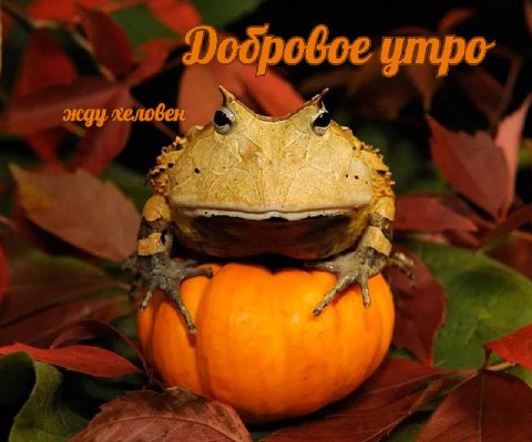 Dodpobce ympo- a