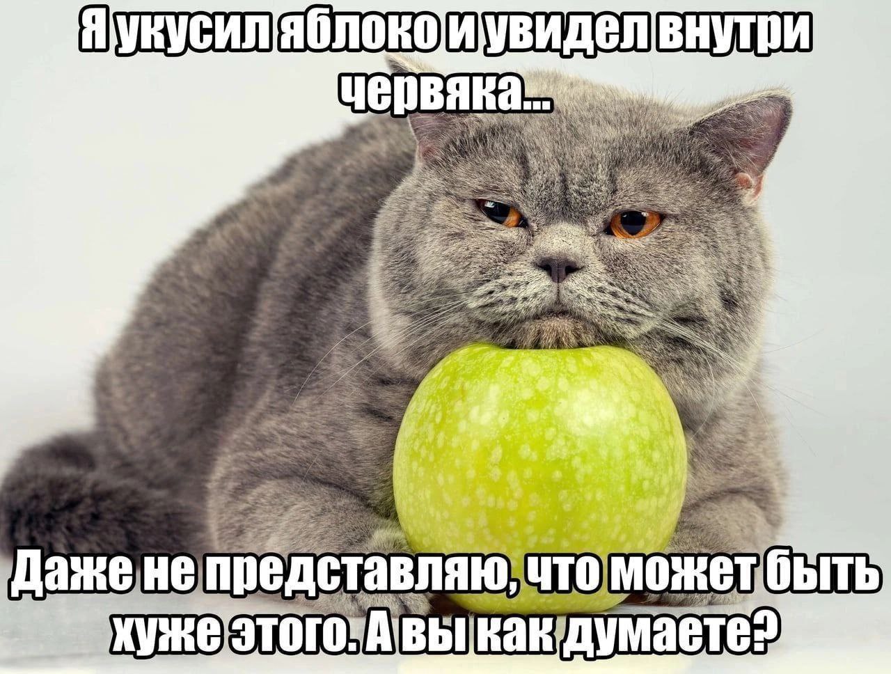 червяка 3 у тавляю