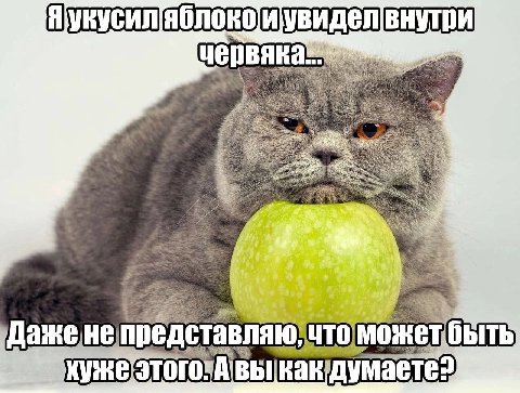 червяка 3 у тавляю