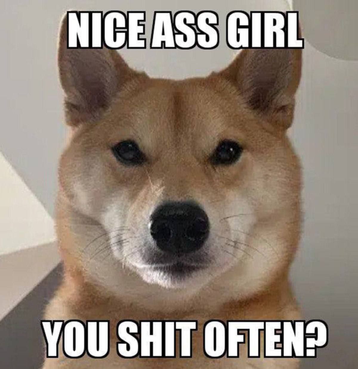 ‘NICE ASS GIRL YOU SHIT OFTEN?