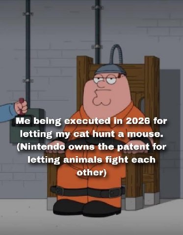 Me being executed in 2026 for letting my cat hunt a mouse. (Nintendo owns the patent for letting animals fight each other)