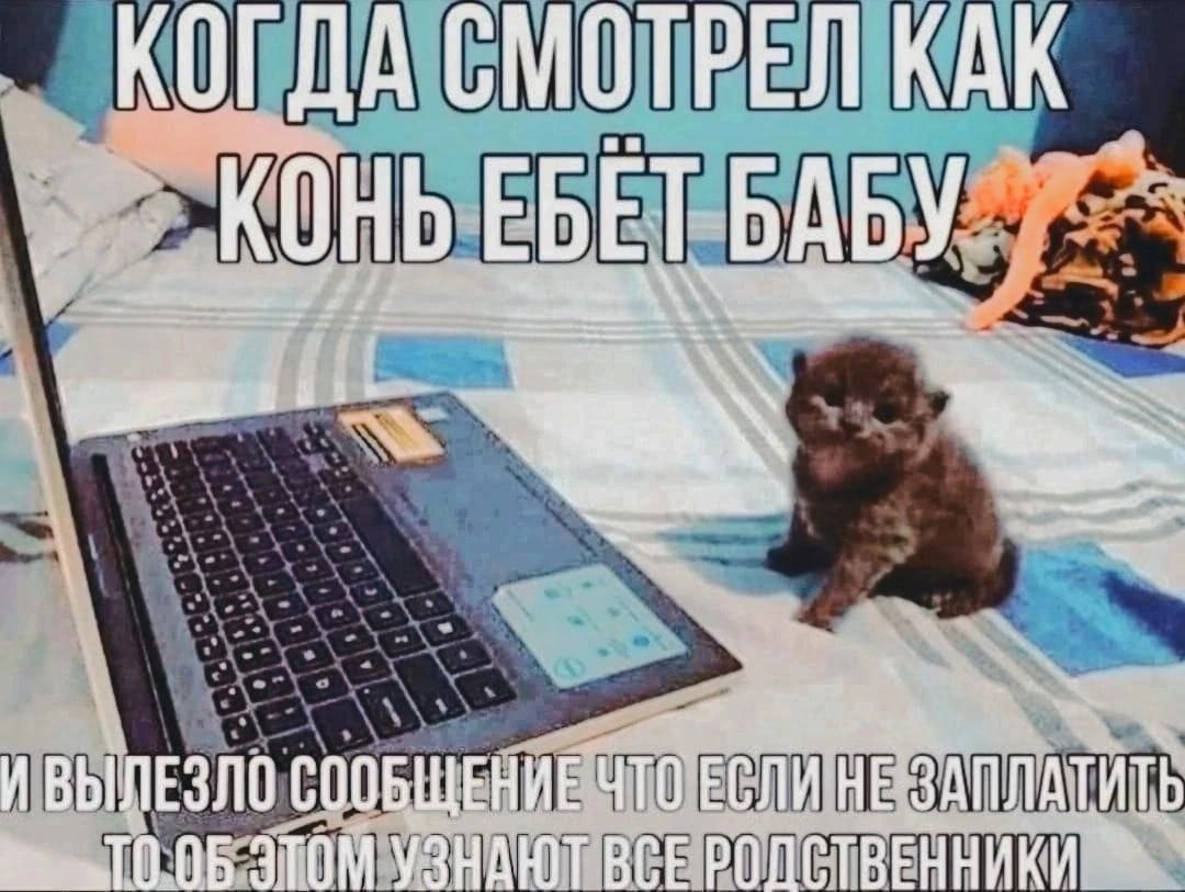 КОГДА СМОТРЕЛ КАК КОНЬ ЕБЕТ ЗТОМ УЗНАЮТ BCE РОДСТВЕННИКИ ВЫЛЕЗЛО СООБЩЕНИЕ что ЕЛИ НЕ ЗАПЛАТИТЬ