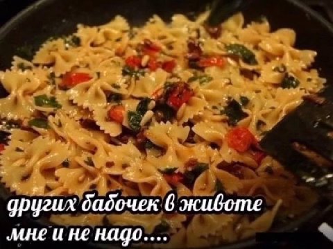 других дадочек 6 жиботе мне и не