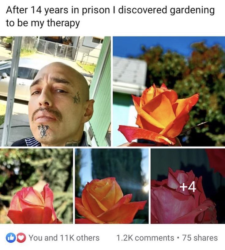 After 14 years in prison discovered gardening to be my therapy 4 +4 comments 75 shares You and others