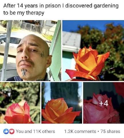 After 14 years in prison discovered gardening to be my therapy 4 +4 comments 75 shares You and others