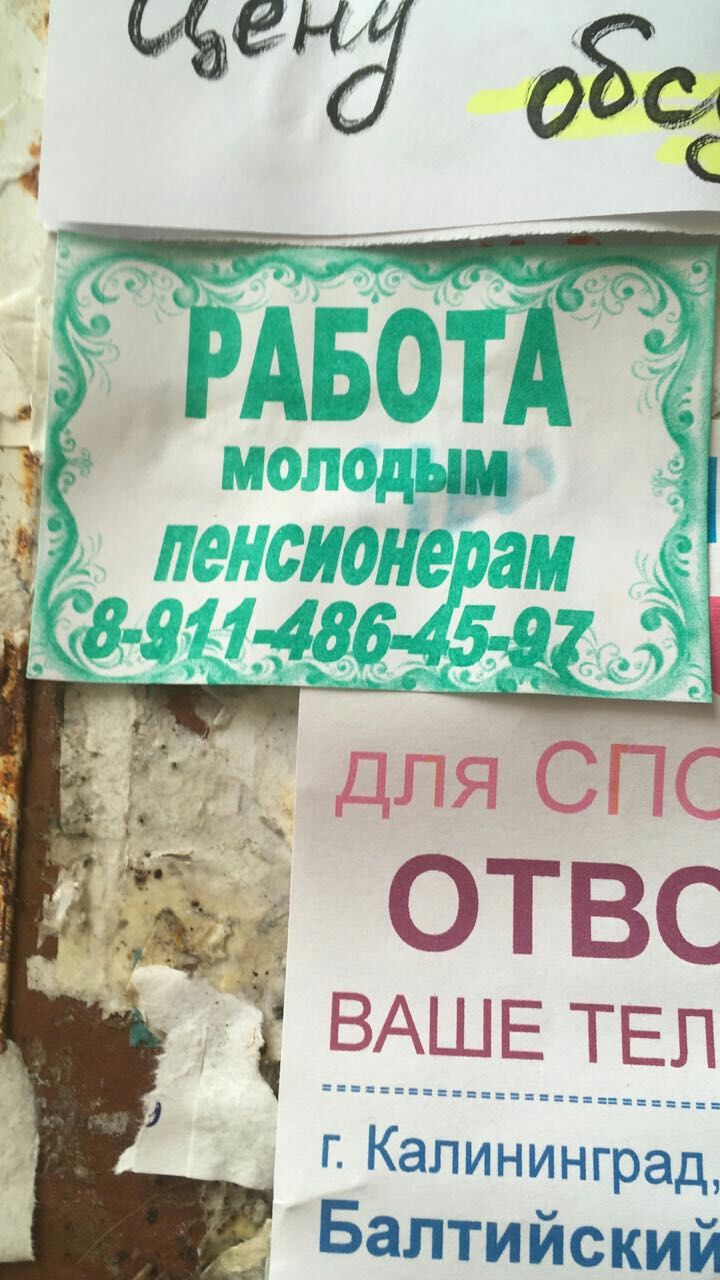 4 пенсионерам для СПС 7 OTBC 4 ВАШЕ ТЕЛ Калининград. Балтийский