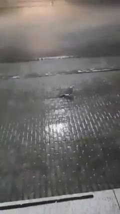 мем