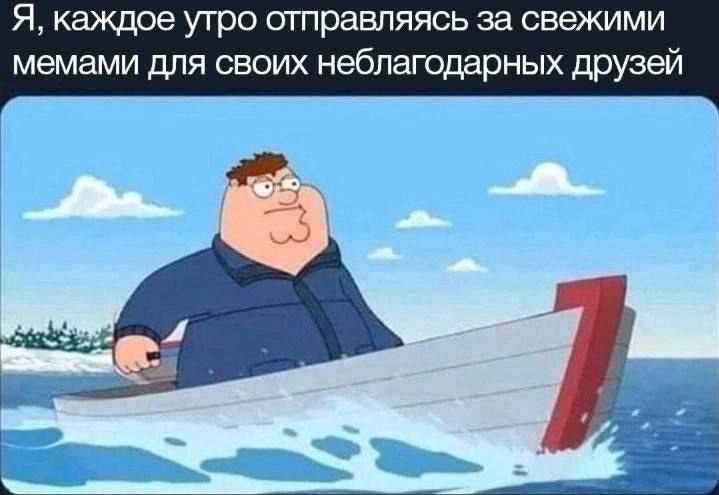 Я, каждое утро отправляясь за свежими мемами для своих неблагодарных друзей