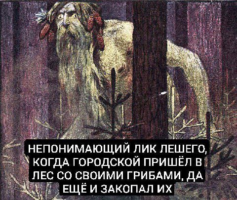 of я НЕПОНИМАЮЩИИ ЛИК ЛЕШЕГО КОГДА ГОРОДСКОЙ ПРИШЕЛ В ЛЕС СВОИМИ ГРИБАМИ, ДА ЕЩЕ И ЗАКОПАЛ