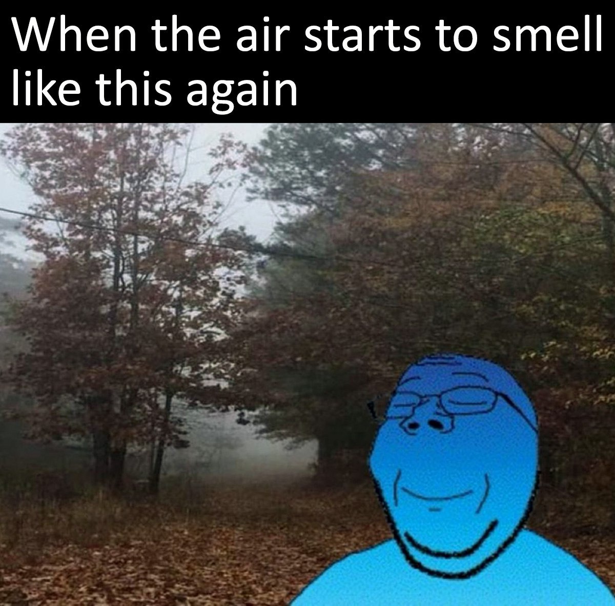 When the air starts to smell like this again