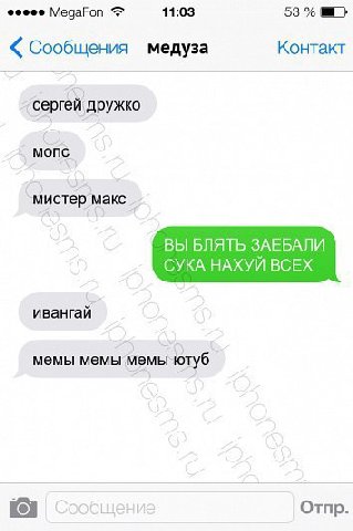 11:03 53 Сообщения медуза Контакт сергей дружко мопс мистер макс СУКА НАХУИ ВСЕХ ивангай мемы мемы мемы ютуб (Kea Отпр.