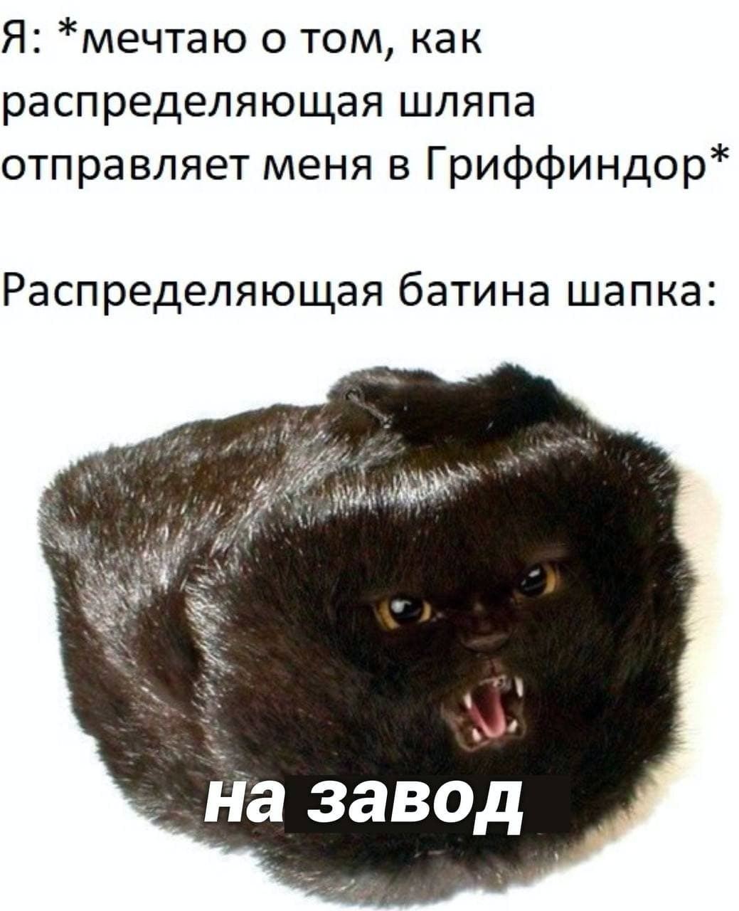 Я: *мечтаю о том, как распределяющая шляпа отправляет меня в Гриффиндор* Распределяющая батина шапка: на завод