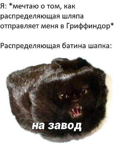 Я: *мечтаю о том, как распределяющая шляпа отправляет меня в Гриффиндор* Распределяющая батина шапка: на завод