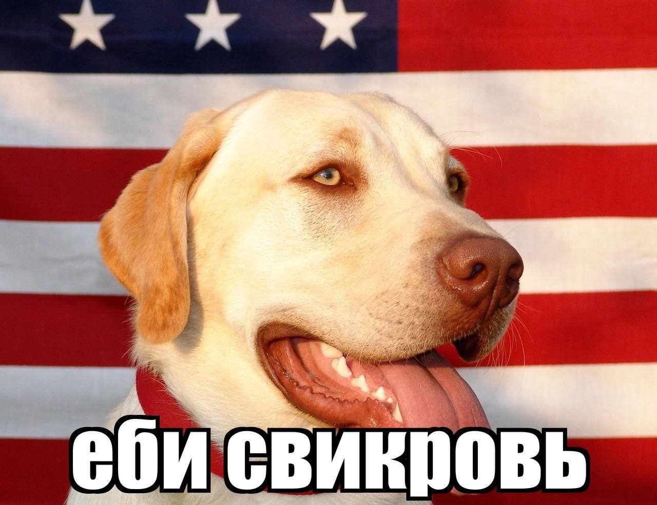 git A