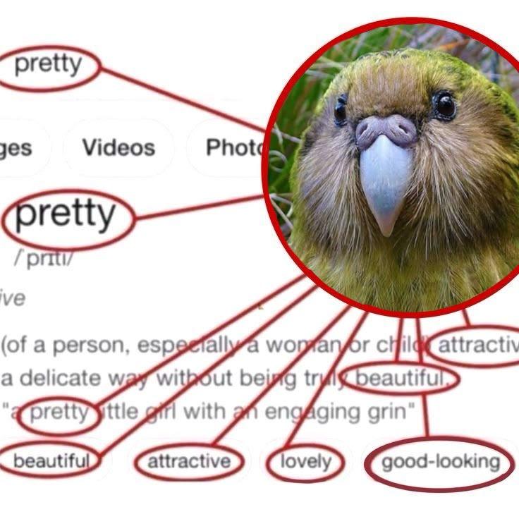 pretty yes Videos /priti (of a person, wopfanfor с i attractiv a delicate ttle with afi engAging beautifu Clovely) good-looking