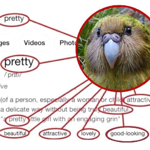 pretty yes Videos /priti (of a person, wopfanfor с i attractiv a delicate ttle with afi engAging beautifu Clovely) good-looking