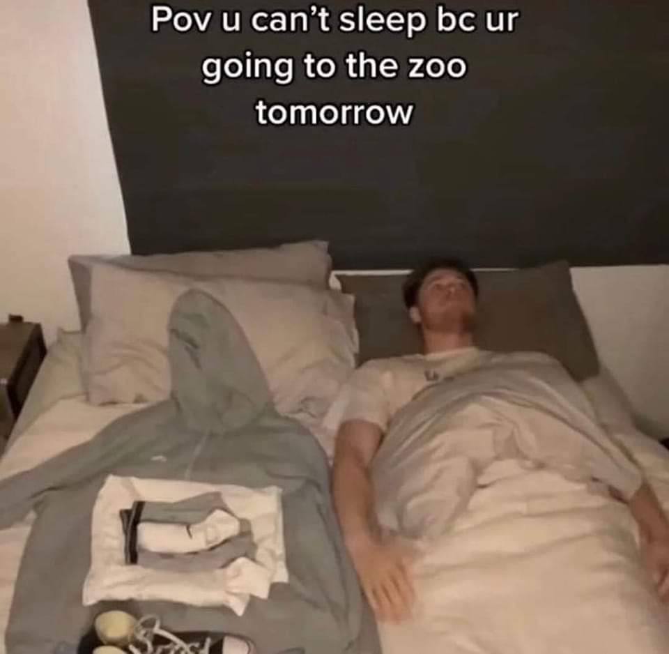 Pov и can’t sleep going to the zoo tomorrow