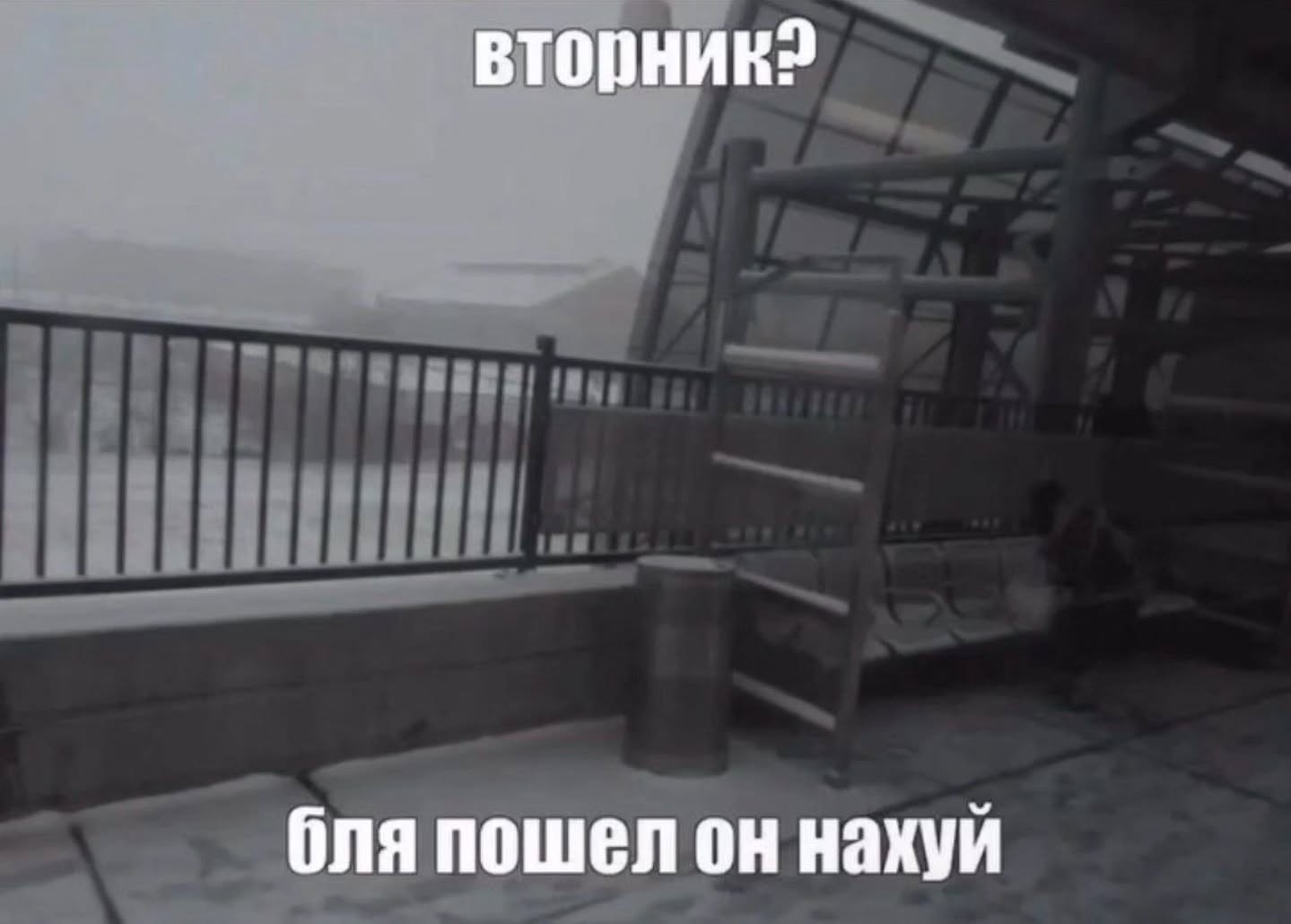 Да реально