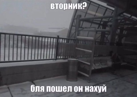 Да реально