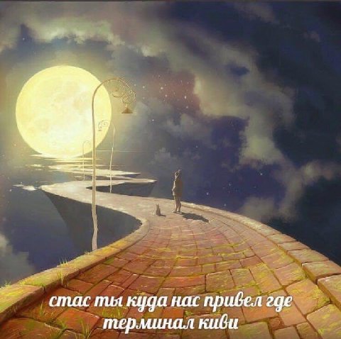 стас ты куда нас привел терминал киви
