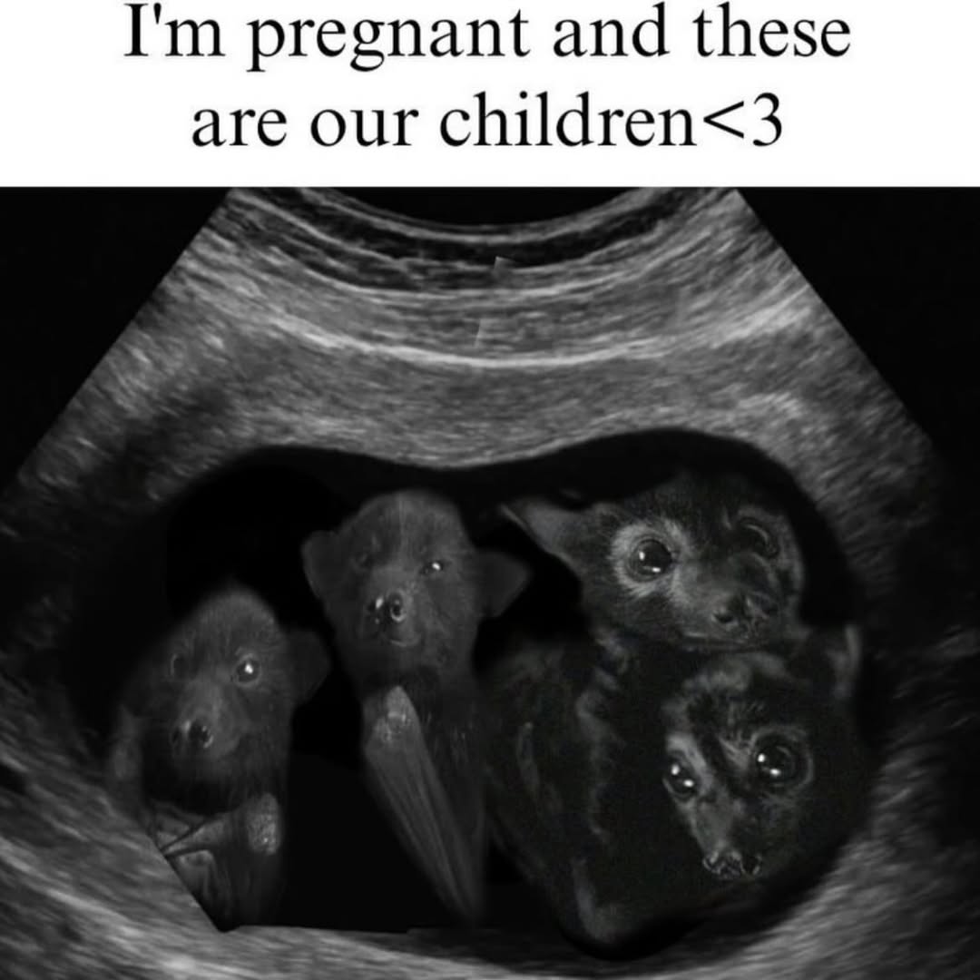 pregnant and these are our children<3