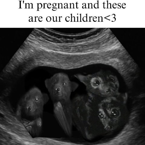 pregnant and these are our children<3