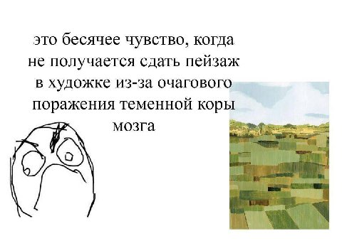 это бесячее чувство, когда не получается сдать пейзаж в художке из-за очагового поражения теменной коры мозга