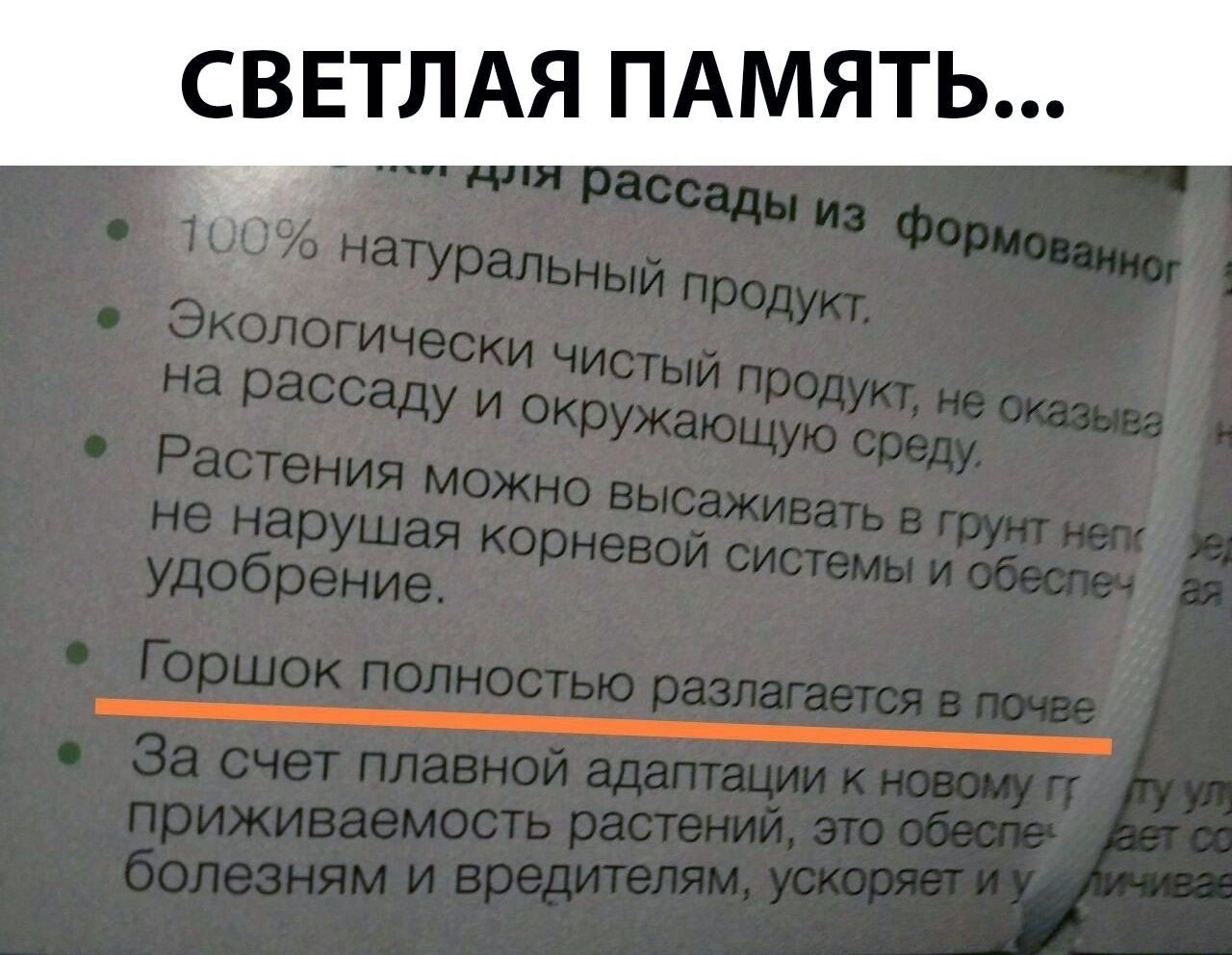С ВЕТЛАЯ ПАМЯТЬ...