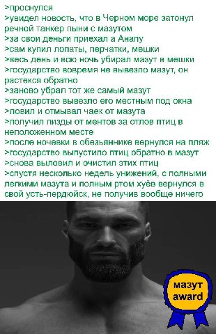 >проснулся >увидел новость, что в Черном море затонул речной танкер пыни с мазутом >за свои деньги приехал а Анапу >сам купил лопаты, перчатки, мешки >весь день и всю ночь убирал мазут в мешки >госуда