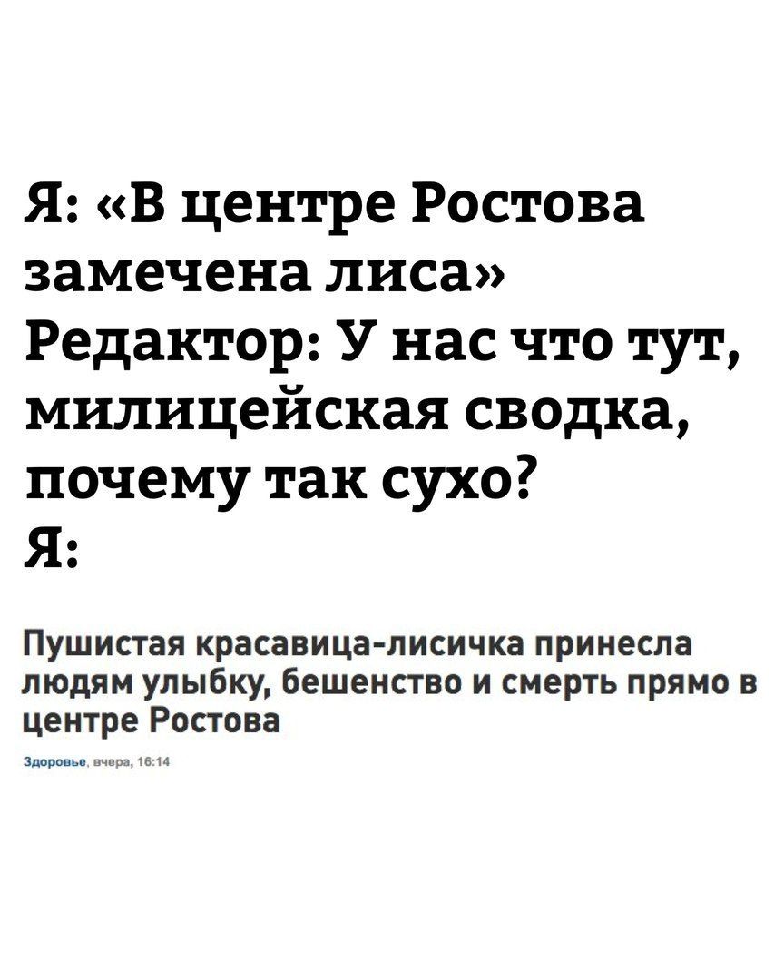 Я: «В центре Ростова замечена лиса» Редактор: У нас что тут, милицейская сводка, почему так сухо? Я: Пушистая красавица-лисичка принесла людям улыбку, бешенство и смерть прямо в центре Ростова
