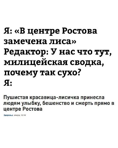 Я: «В центре Ростова замечена лиса» Редактор: У нас что тут, милицейская сводка, почему так сухо? Я: Пушистая красавица-лисичка принесла людям улыбку, бешенство и смерть прямо в центре Ростова