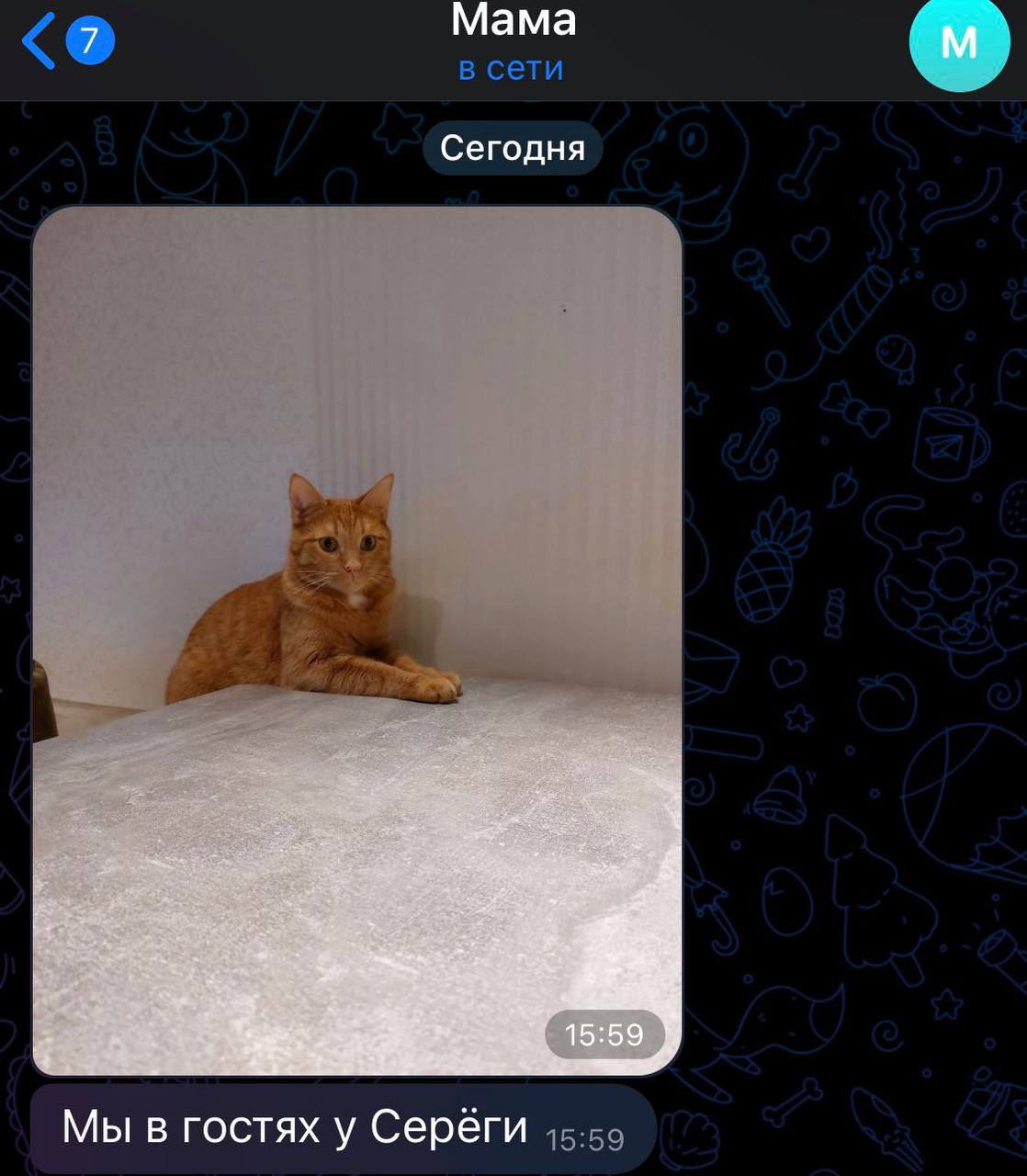 Mama в сети Сегодня Мы в гостях у Серёги
