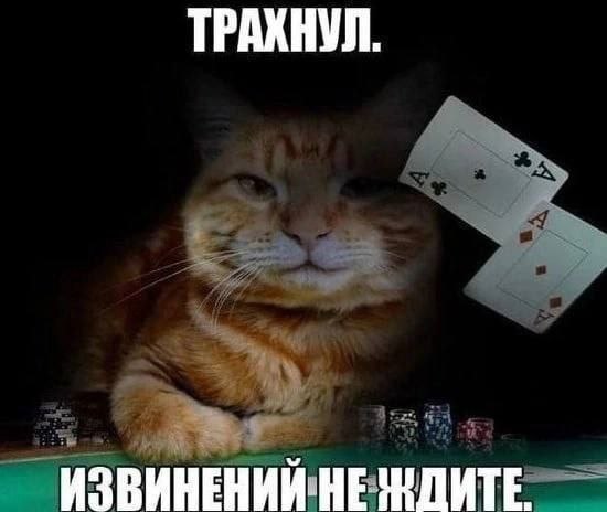 ТРАХНУЛ. ИЗВИНЕНИЙ НЕ