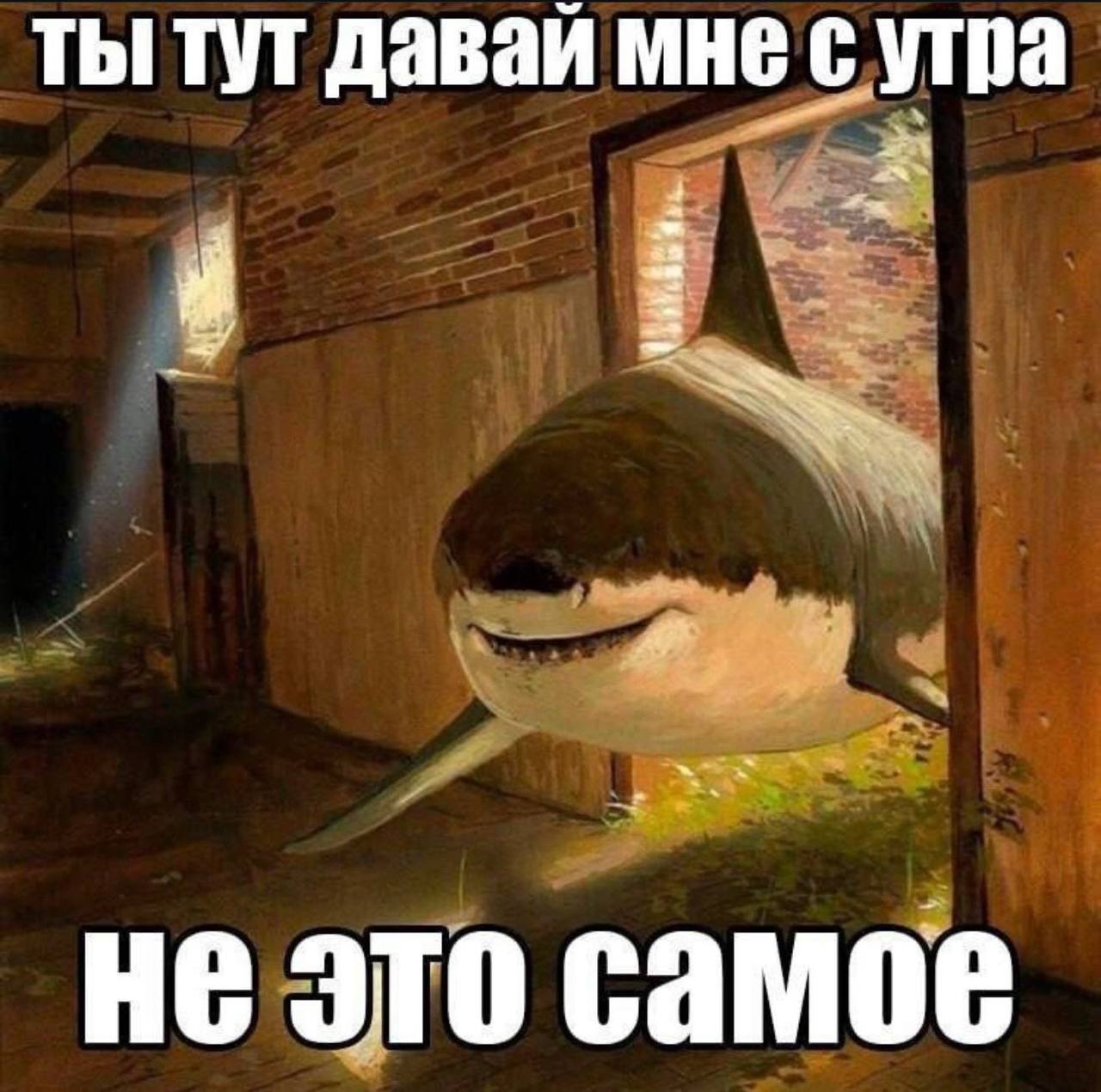 ты тут давай мне сутра wie, не это самое