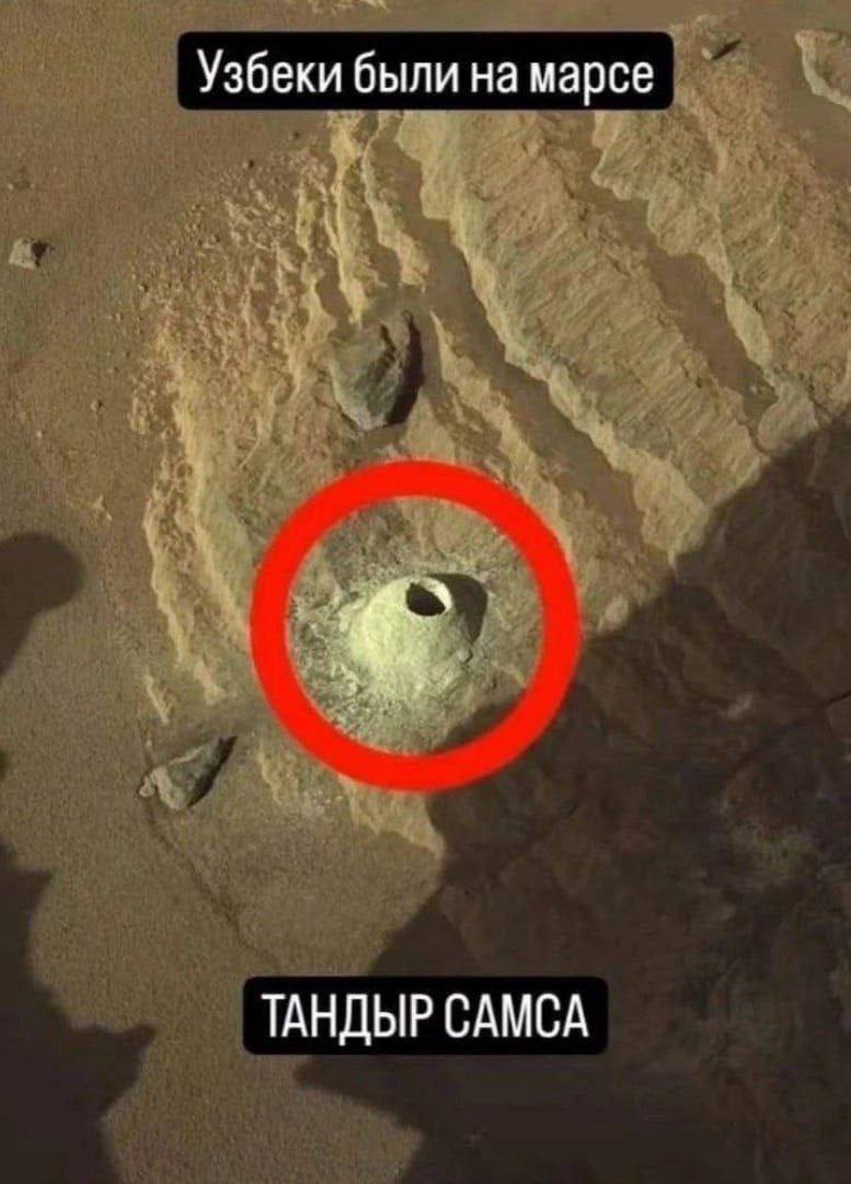 Узбеки были на марсе ТАНДЫР САМСА