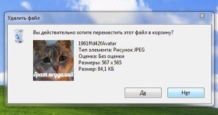 файл Вы действительно хотите переместить этот файл в корзину? 1961 ffd42fAvatar Тип элемента: Рисунок JPEG Оценка: Без оценки Размеры: 567 565 Размер: 84,1 брат неудоляй