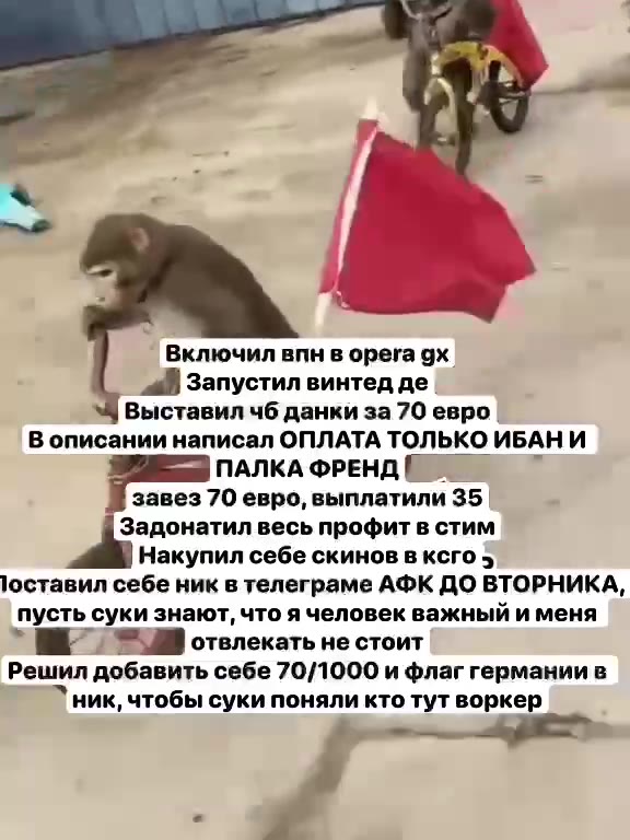 Включил впн в opera gx . ks Запустил винтед де , __ Выставил чб данки за 70 евро . 5 В описании написал ОПЛАТА ТОЛЬКО ИБАН И ПАЛКА ФРЕНД В завез 70 евро, выплатили 35 | Задонатил весь профит в стим На