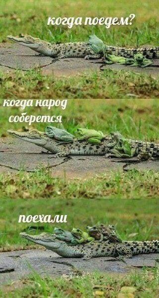 когда поедем когда народ содер