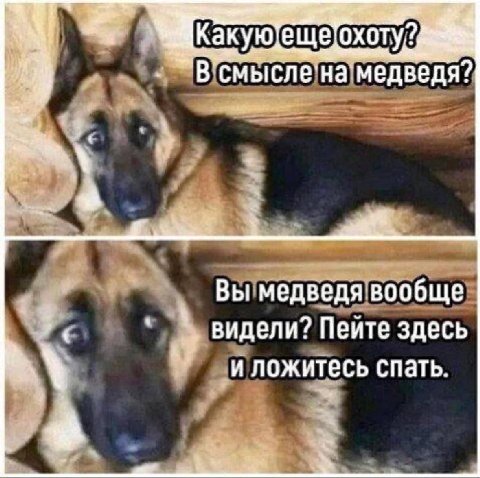 A смысле: Вы медведя вообще видели? Пеите здесь и ложитесь спать