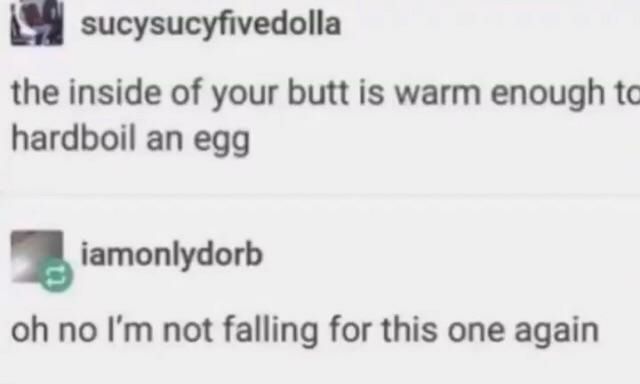 sucysucyfivedolla the inside of your butt is warm enough hardboil an egg iamonlydorb no not falling for this one again