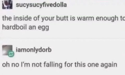 sucysucyfivedolla the inside of your butt is warm enough hardboil an egg iamonlydorb no not falling for this one again