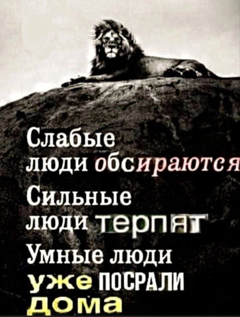 люди обсираются Сильные людитерпяг Умные люди уже ПОСРАЛИ дома