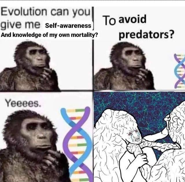 Evolution can you To avoid self-awareness And knowledge of my own mortality? predators? Yeeees. Gal