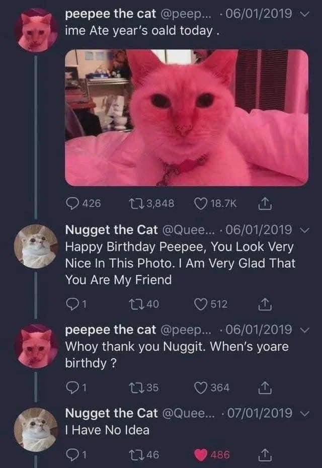 peepee ime Ate year's oald today 3 Nugget the Cat Happy Birthday Реерее, You Look Very Nice In This Photo. Very Glad That You Are My Friend peepee the cat Whoy thank you Nuggit. When's yoare birthdy N