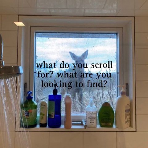 fou scroll in